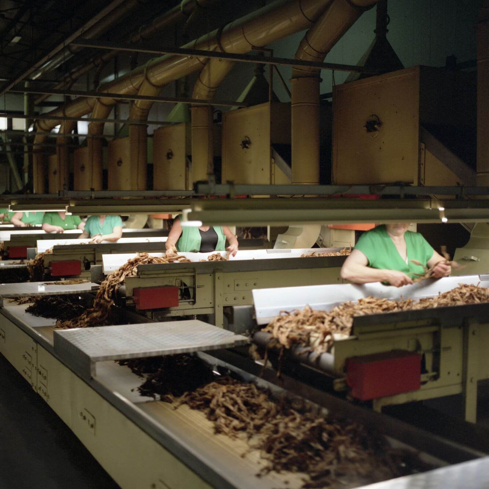 Photos Of The International Tobacco Industry & Anti-smoking Images