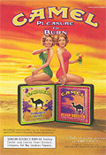 Camel Flavored Cigarettes