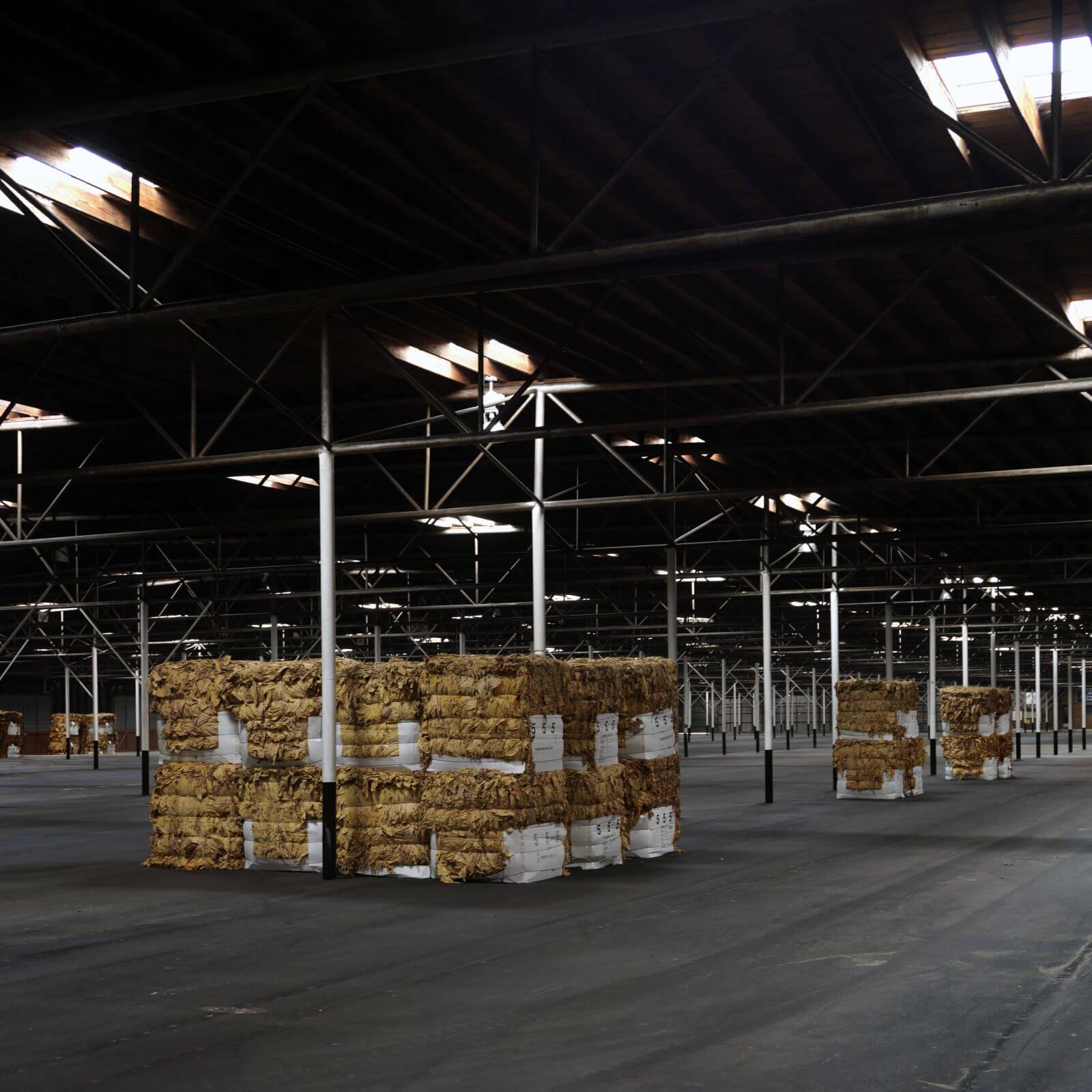 Photos of the International Tobacco Industry & Antismoking images